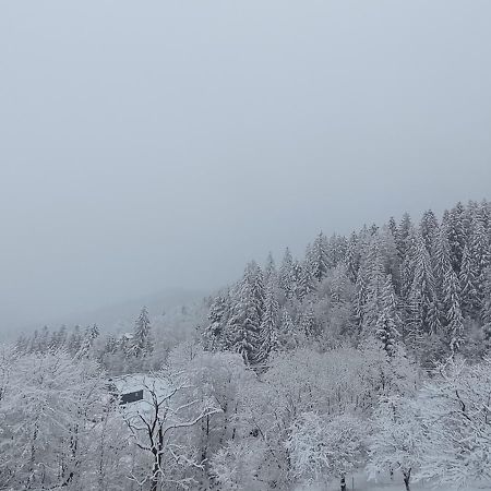Holiday Home Melodiya Karpat ヤレムチャ エクステリア 写真