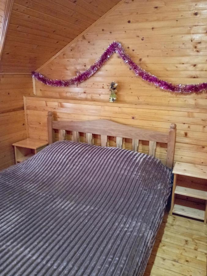 Holiday Home Melodiya Karpat ヤレムチャ エクステリア 写真