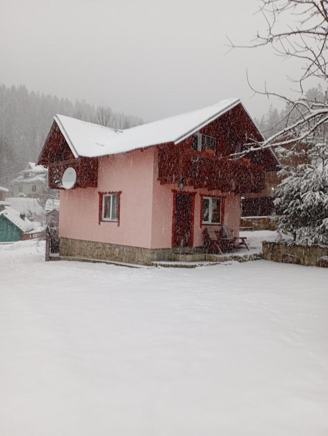 Holiday Home Melodiya Karpat ヤレムチャ エクステリア 写真