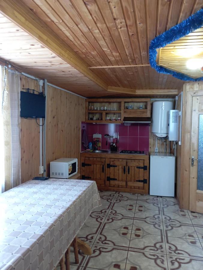 Holiday Home Melodiya Karpat ヤレムチャ エクステリア 写真
