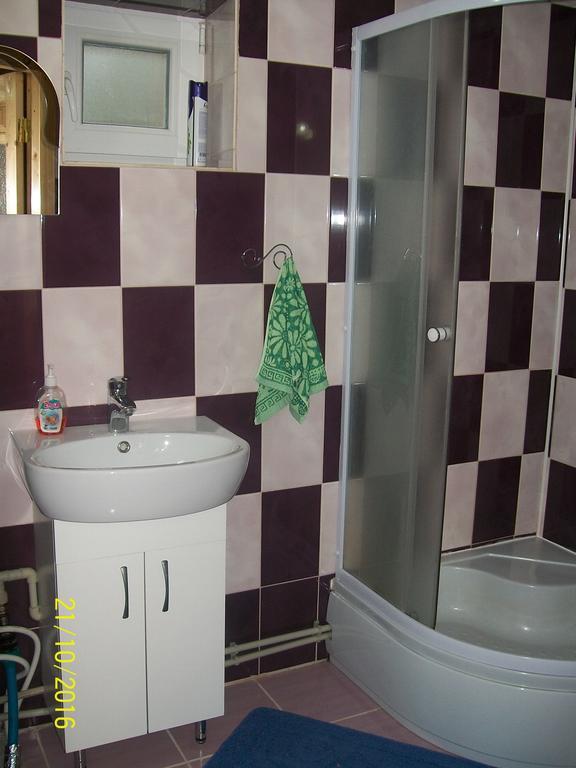 Holiday Home Melodiya Karpat ヤレムチャ エクステリア 写真