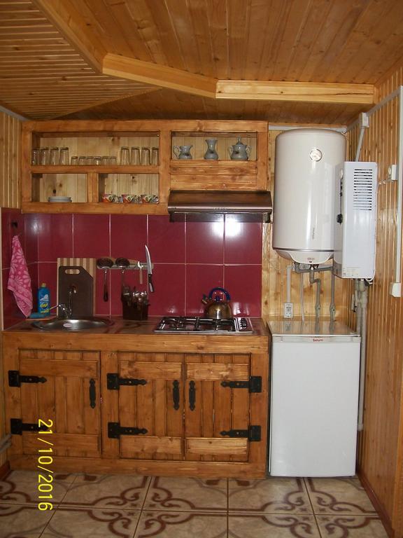 Holiday Home Melodiya Karpat ヤレムチャ エクステリア 写真