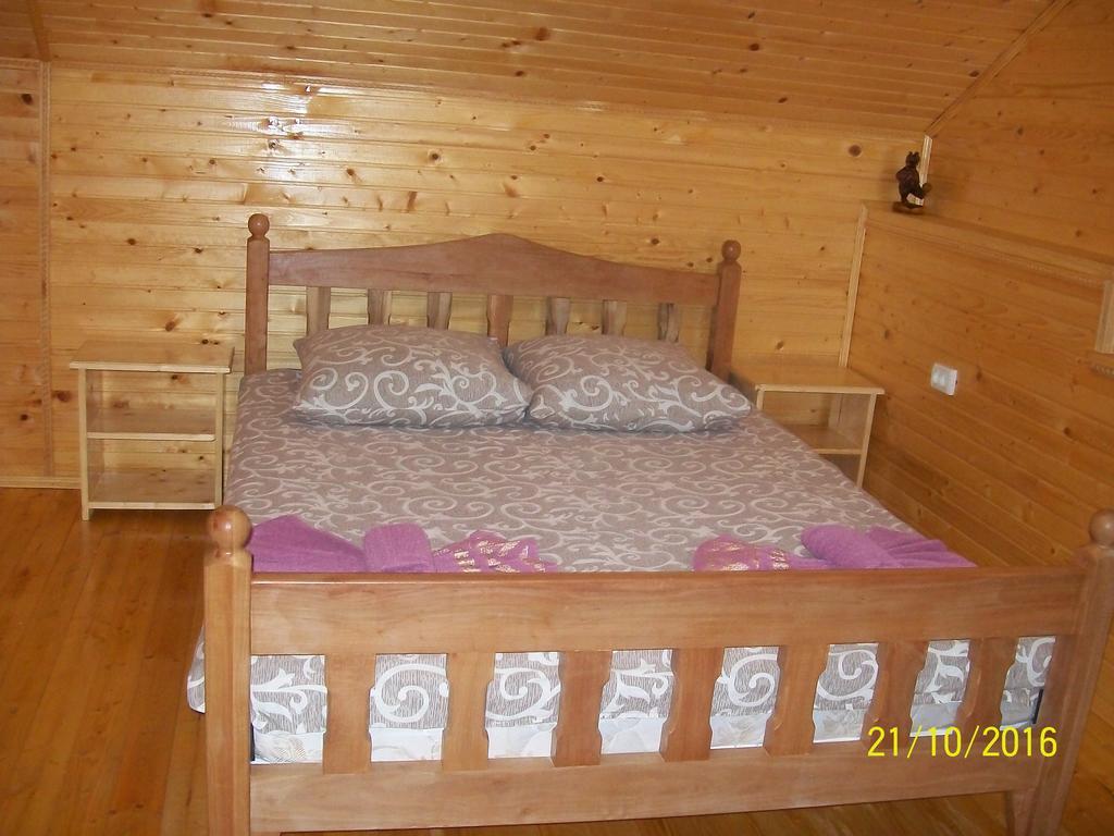 Holiday Home Melodiya Karpat ヤレムチャ エクステリア 写真