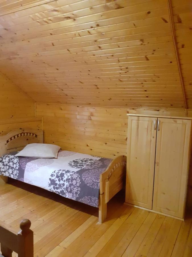 Holiday Home Melodiya Karpat ヤレムチャ エクステリア 写真