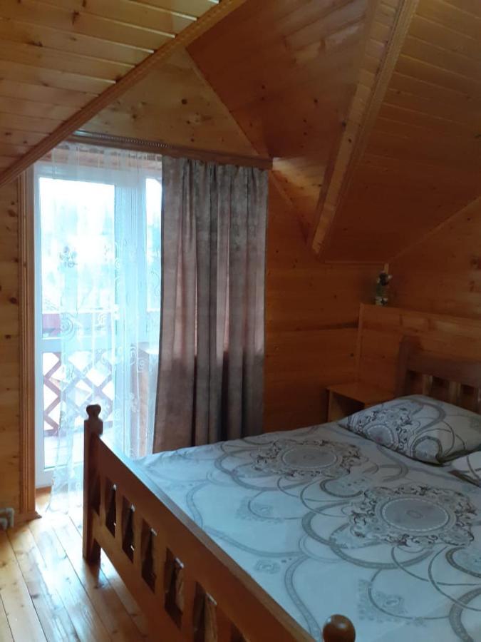 Holiday Home Melodiya Karpat ヤレムチャ エクステリア 写真