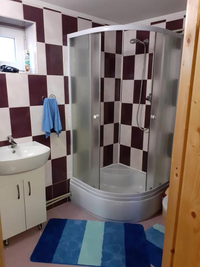 Holiday Home Melodiya Karpat ヤレムチャ エクステリア 写真