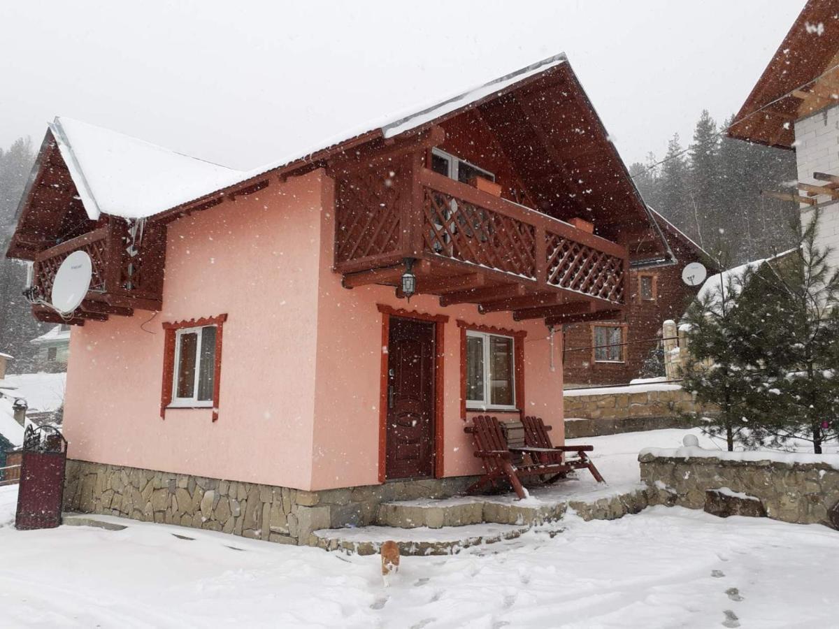Holiday Home Melodiya Karpat ヤレムチャ エクステリア 写真