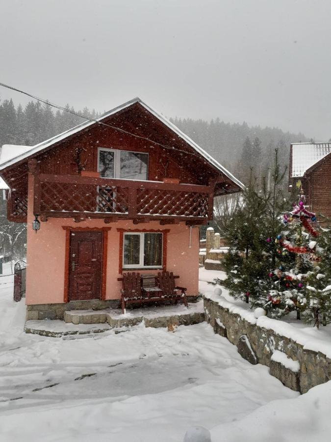 Holiday Home Melodiya Karpat ヤレムチャ エクステリア 写真