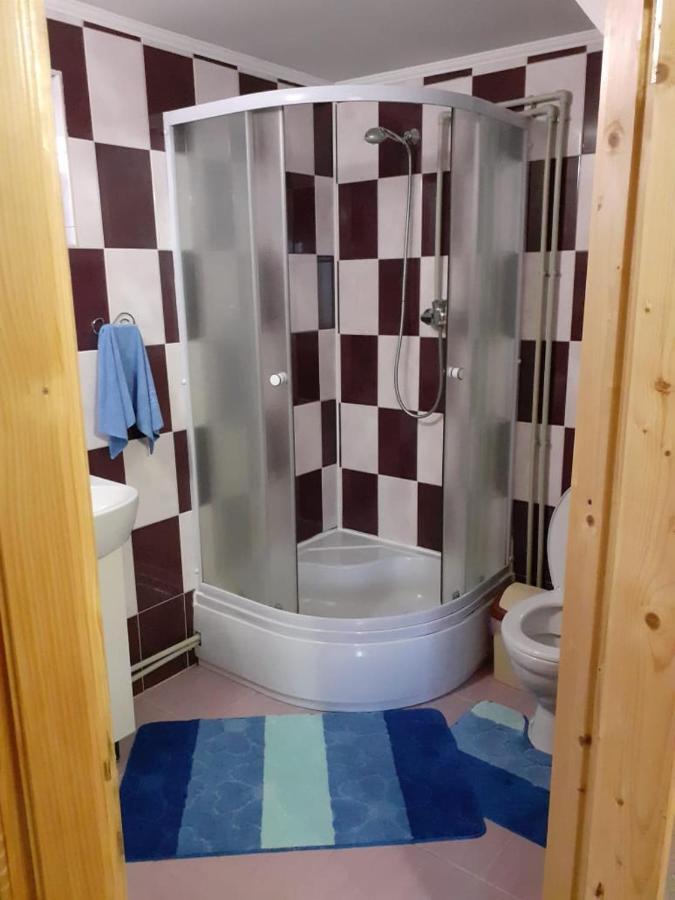 Holiday Home Melodiya Karpat ヤレムチャ エクステリア 写真