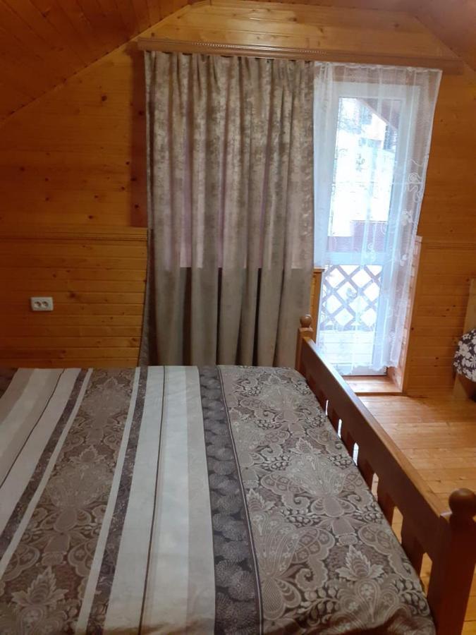 Holiday Home Melodiya Karpat ヤレムチャ エクステリア 写真